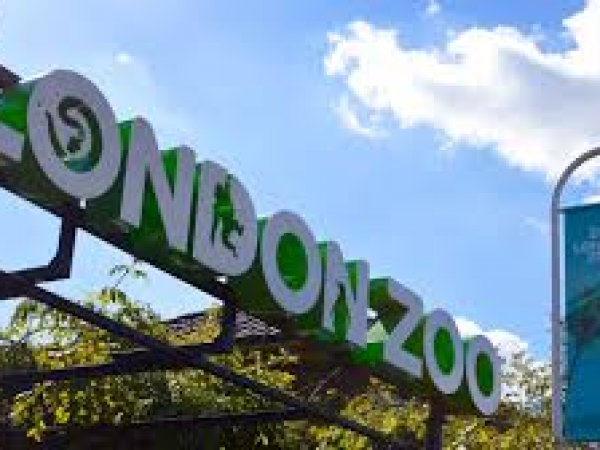 Zoo London