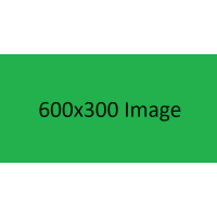 Product with 600x300 image